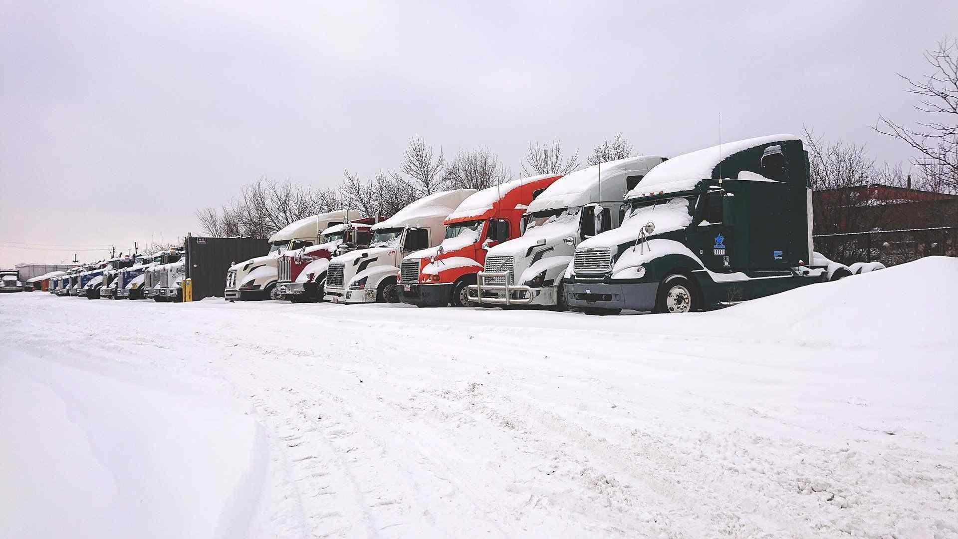 black, grey, red, and white trucks in snow diesel fuel gelling prevention tips